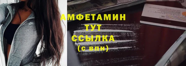 МДПВ Бородино