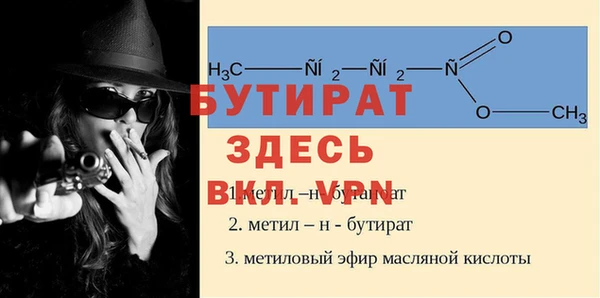 МДПВ Бородино