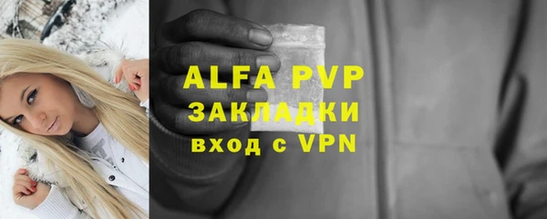 МДПВ Бородино
