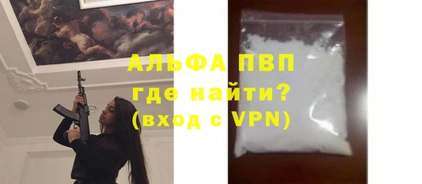 МДПВ Бородино