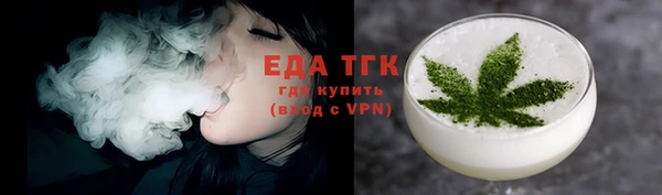 МДПВ Бородино