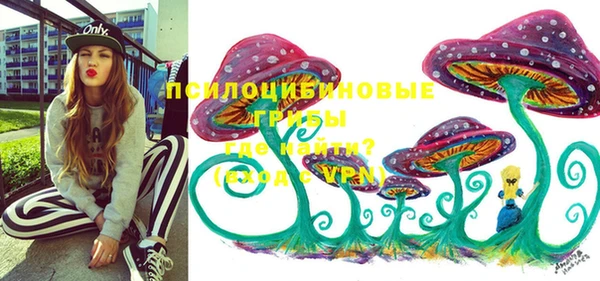 МДПВ Бородино