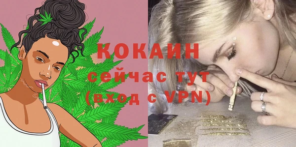 МДПВ Бородино