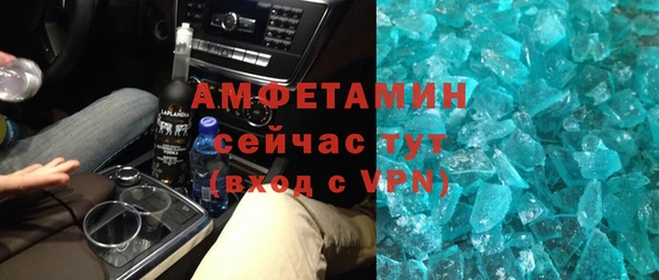 МДПВ Бородино