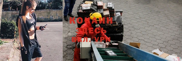 молекула духа Бугульма