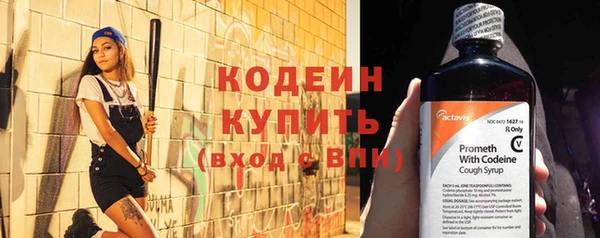 МДПВ Бородино