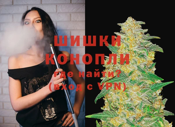 МДПВ Бородино