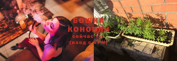 молекула духа Бугульма