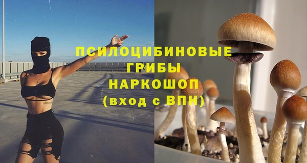молекула духа Бугульма