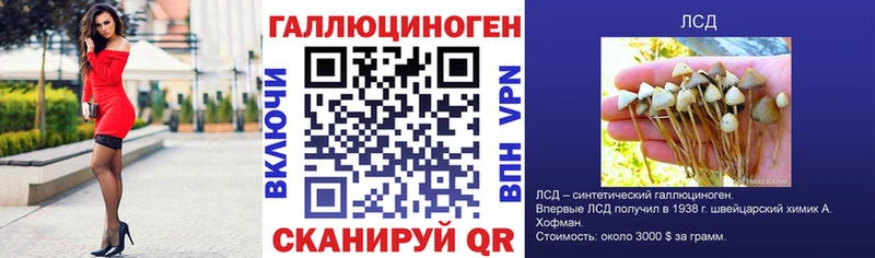 Галлюциногенные грибы GOLDEN TEACHER  Купить закладки  Новомичуринск 